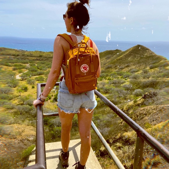 Meet your Posher, Elle - Picture 5 of 6